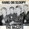McCoys – Hang On Sloopy